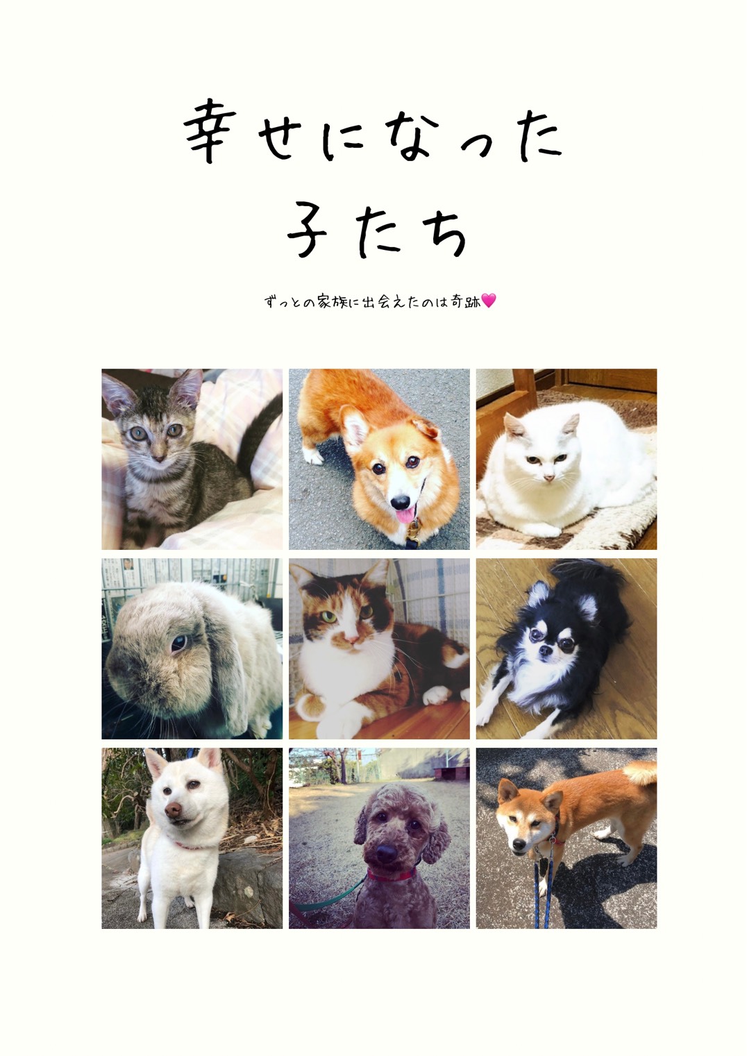 幸せになった子たちの写真集1。新しい家族に迎えられた犬や猫、うさぎの写真