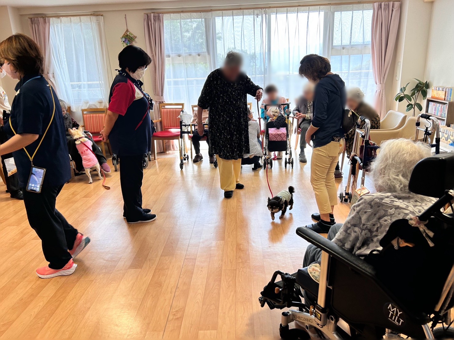 老人ホームで仲間たちと犬を連れて訪問活動をする様子