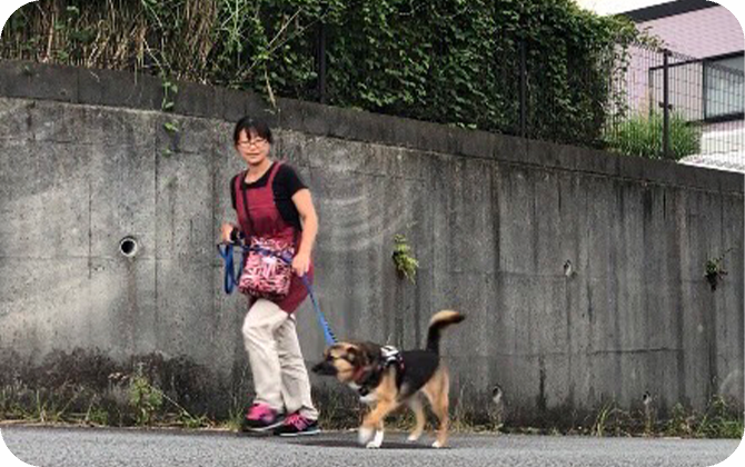 各種代行サービスのイメージ