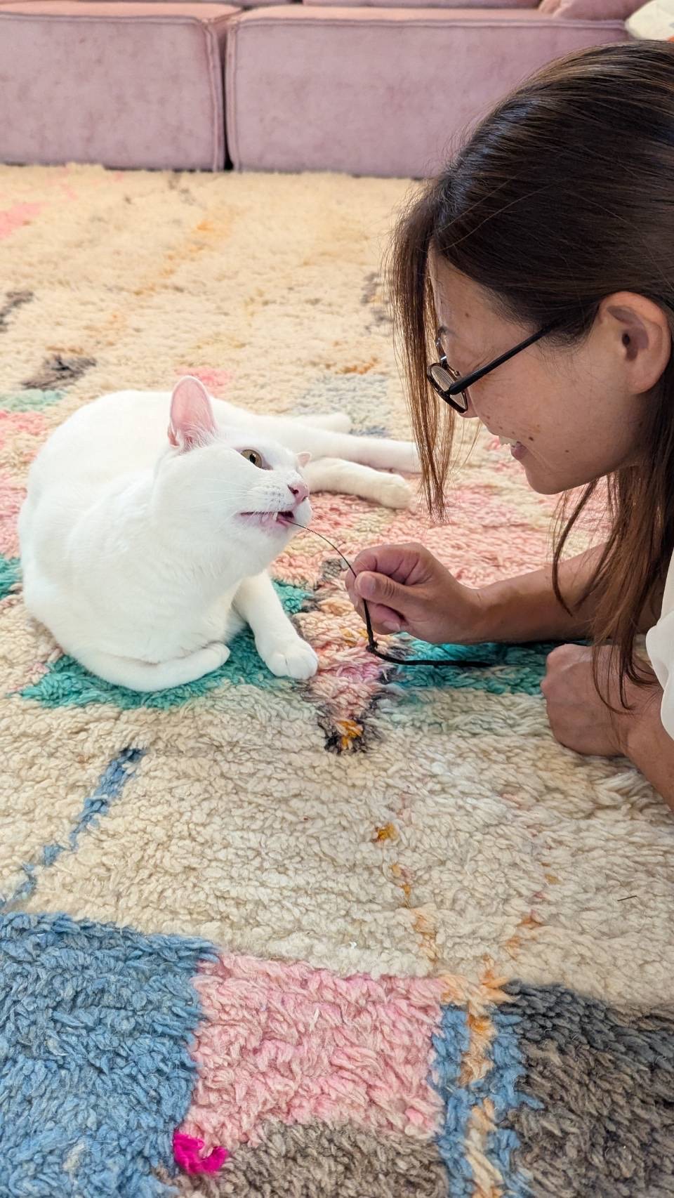 白い猫と遊ぶペットシッター